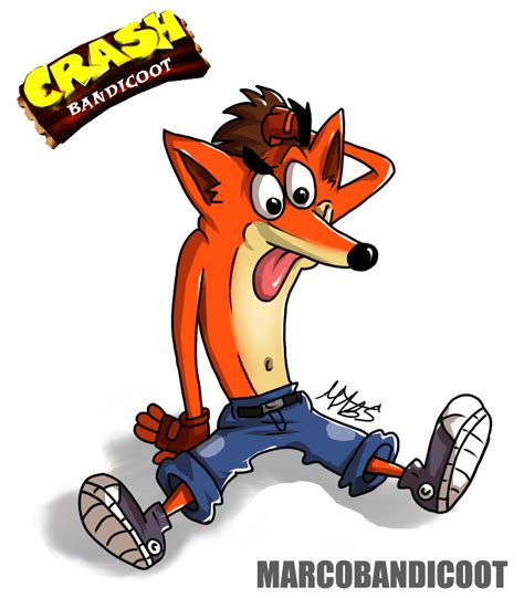 bandicoot|More.